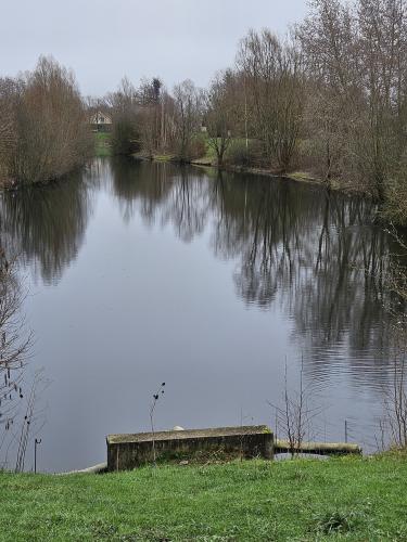 Etang du Parc des Bordes